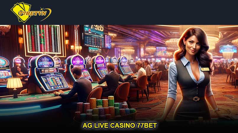 AG Live Casino 77bet