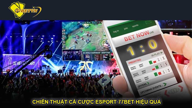 Chiến thuật cá cược esport 77bet hiệu quả