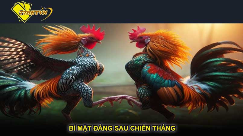 Bí mật đằng sau chiến thắng