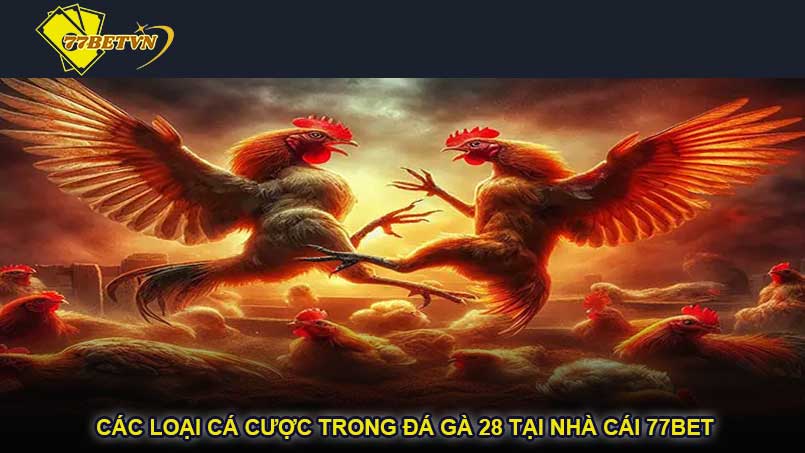 Các loại cá cược trong đá gà 28 tại nhà cái 77bet