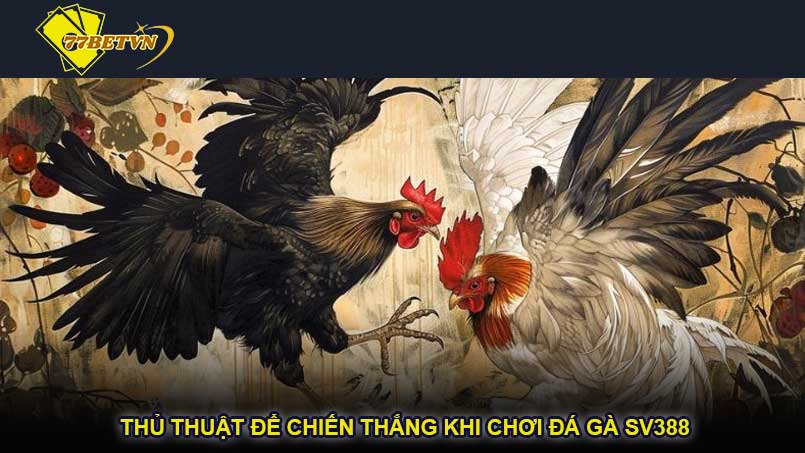 Thủ thuật để chiến thắng khi chơi đá gà SV388
