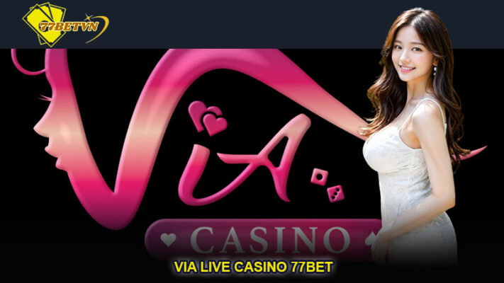 VIA Live Casino 77bet